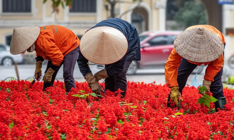 City gardening