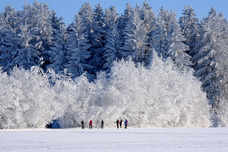 Winter Greens